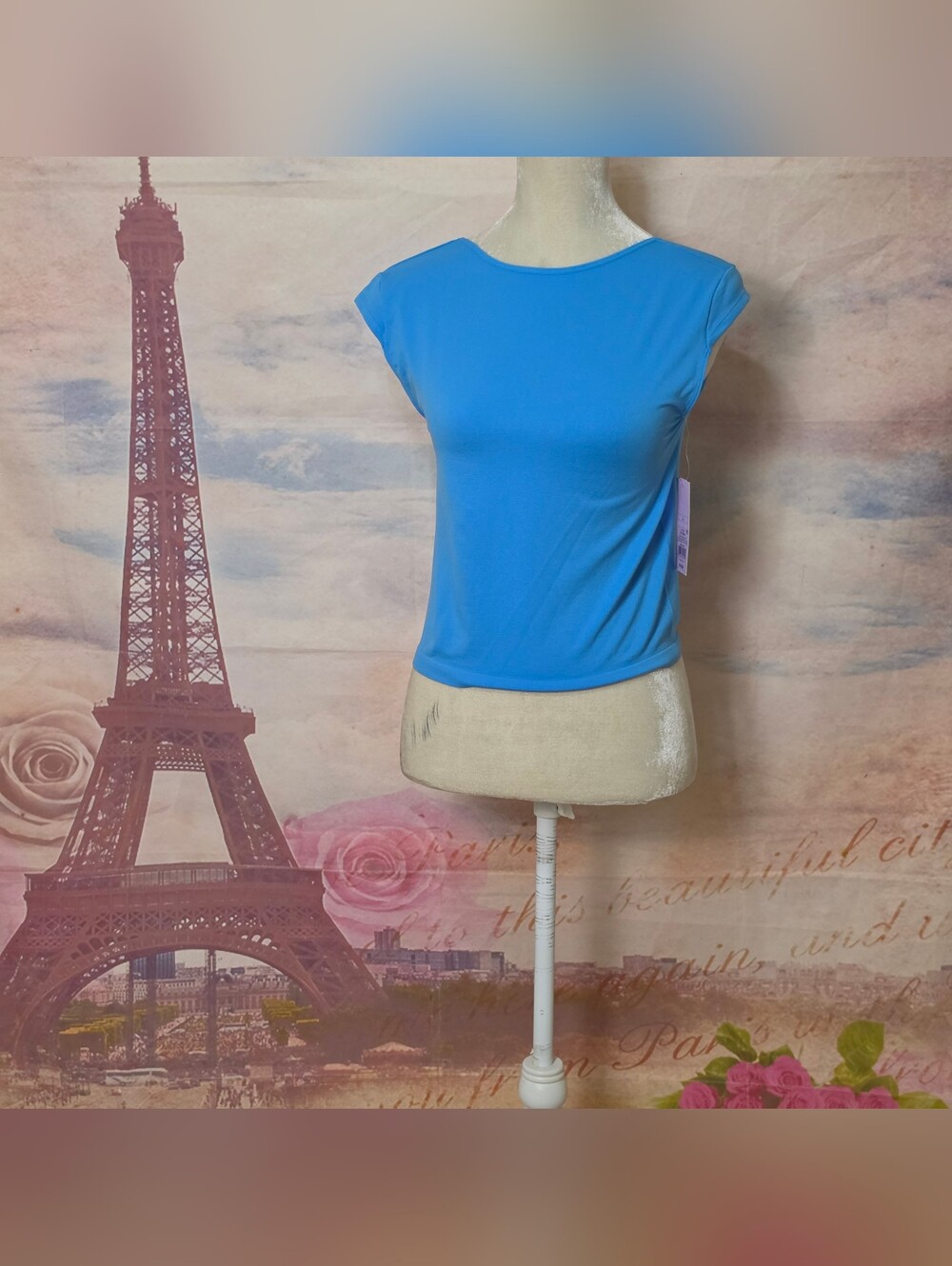NEW wild fable Bright Blue Cap-Sleeve Crewneck Top Sz L